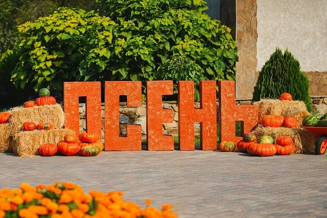 Праздник осени и Уездная ярмарка ремесленников в парке «Лога», фотография 3